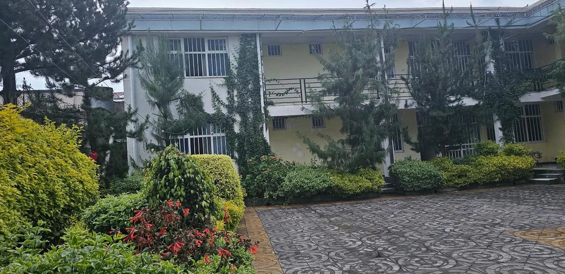 Pensionat Avi-Pension Addis Ababa