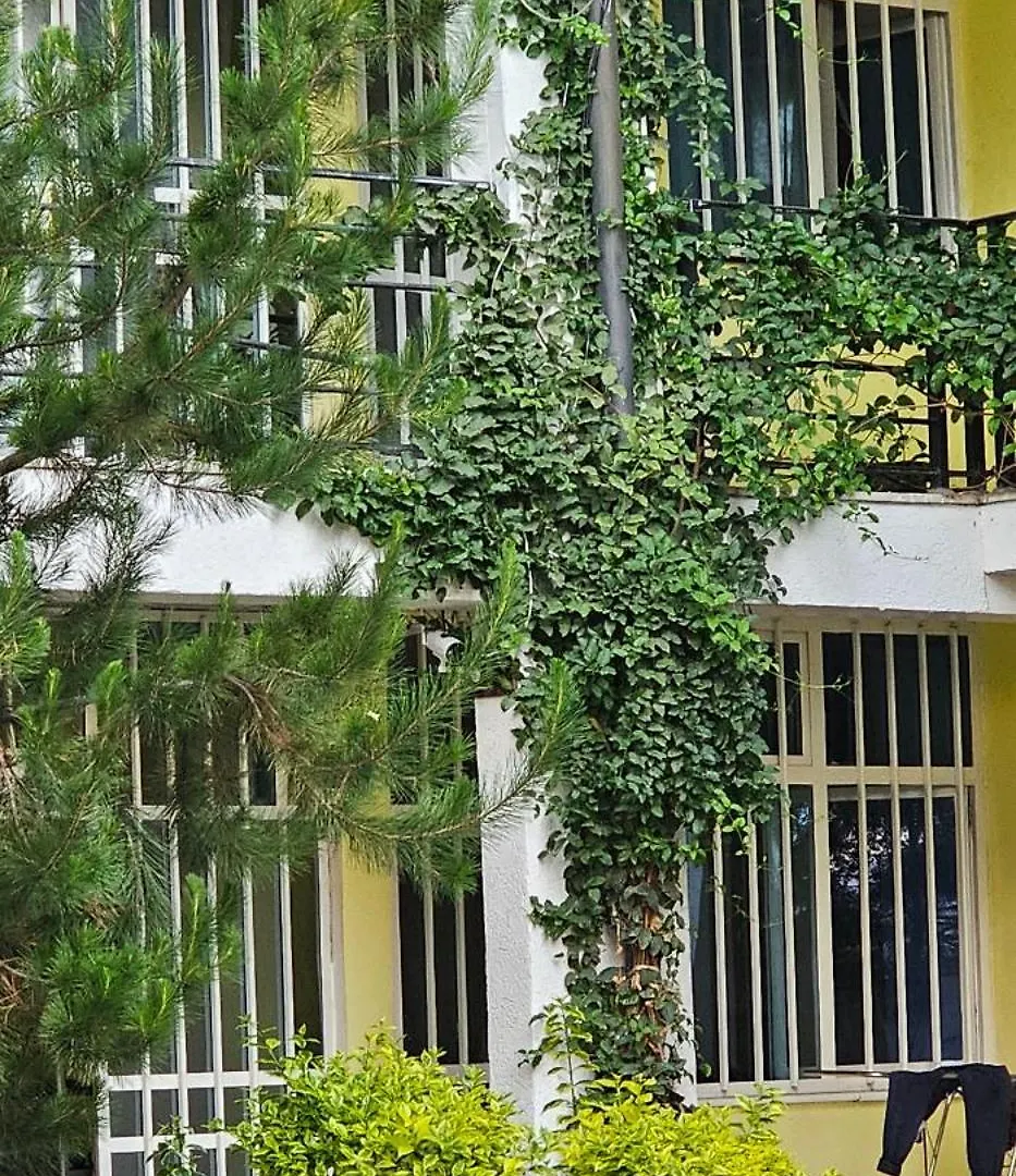 Avi-Pension Addis Ababa Pensionat