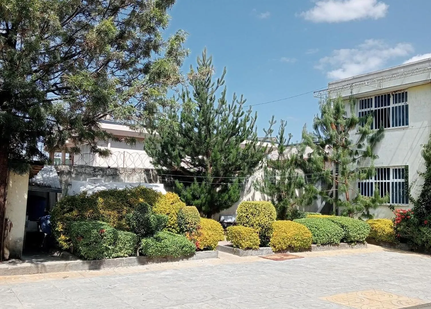 Avi-Pension Addis Ababa 0*,